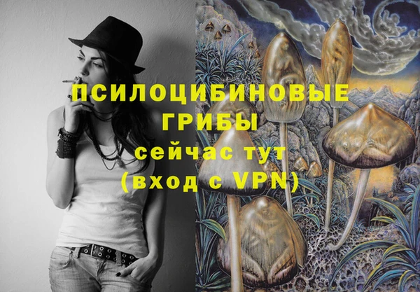 а пвп мука Алзамай