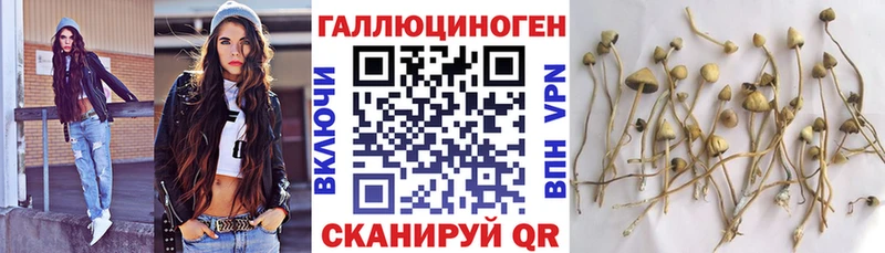 Псилоцибиновые грибы прущие грибы Еманжелинск
